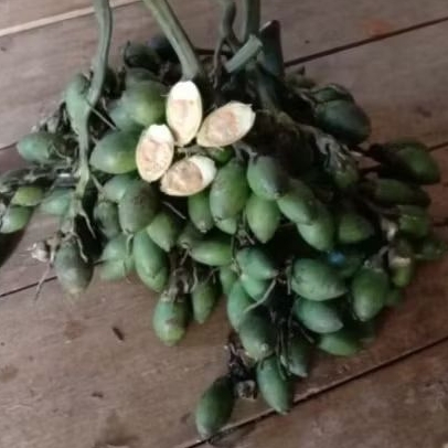 

.. buah pinang / Buah jame . muda siap kirim 1000 gram