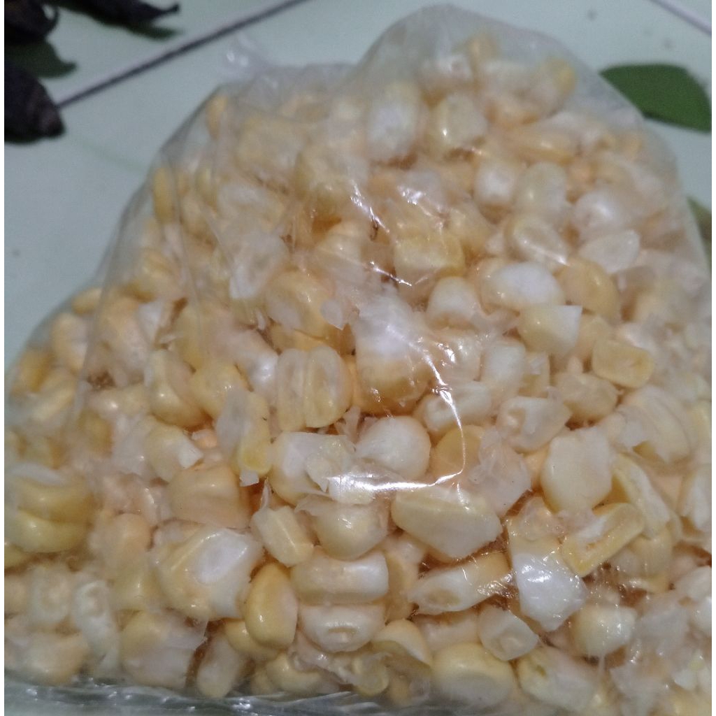 

jagung pipil 200-250g