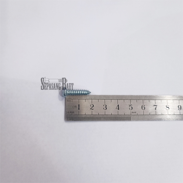 8x3/4 Screw Tapping PH Isi 10 - Skrup Kepala Bulat Galvanis 8 x 3/4