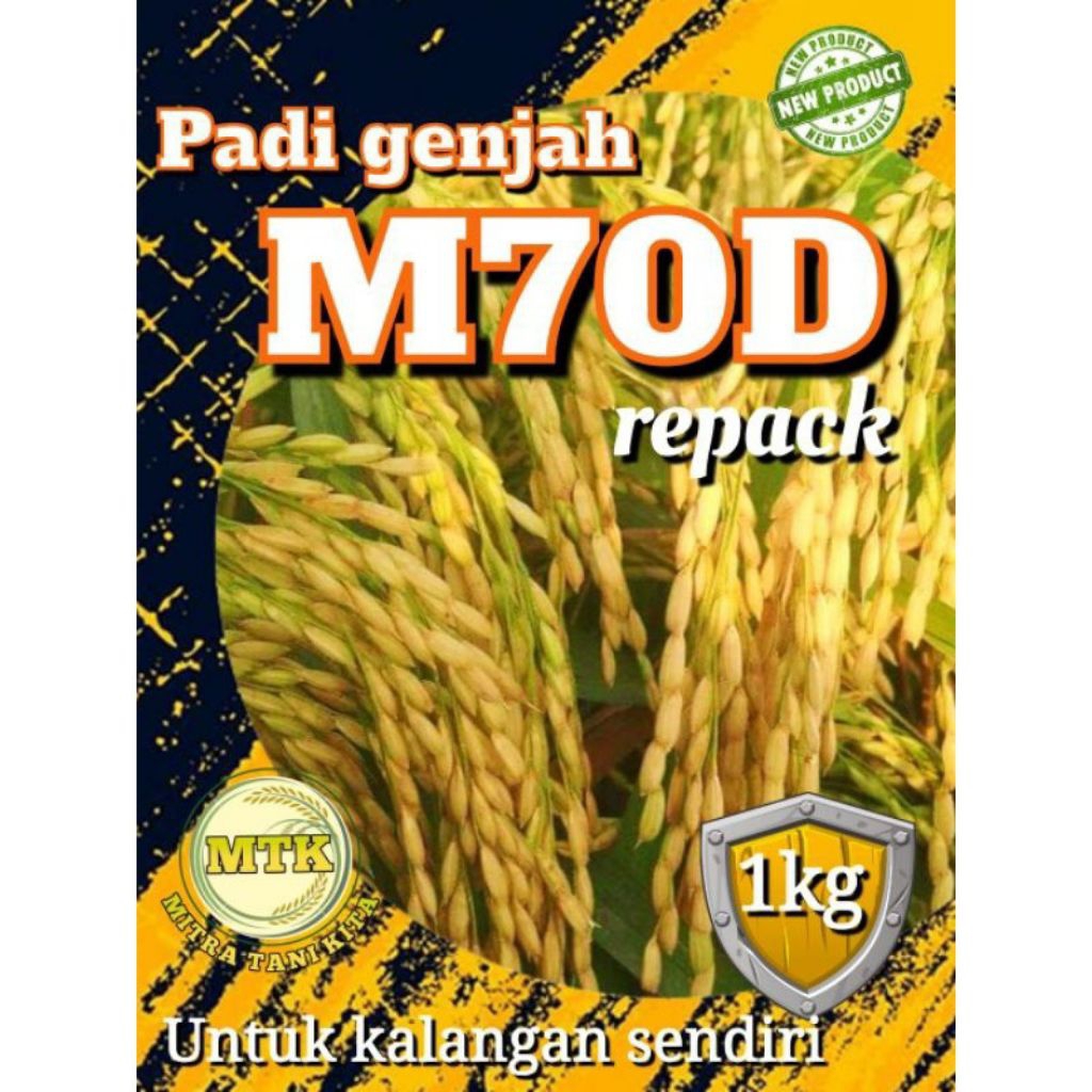benih padi unggul M70D kemasan 1KG