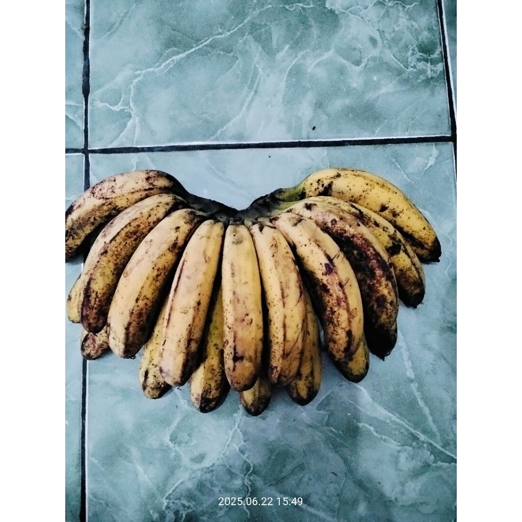

Pisang Barangan 1 Sisir