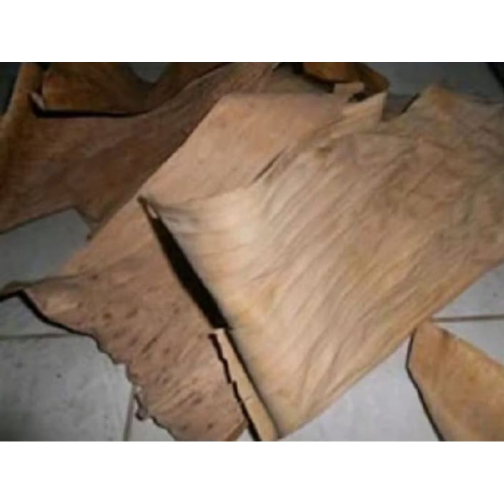 Daun kelaras kering alas reptil/jangkrik 100gr