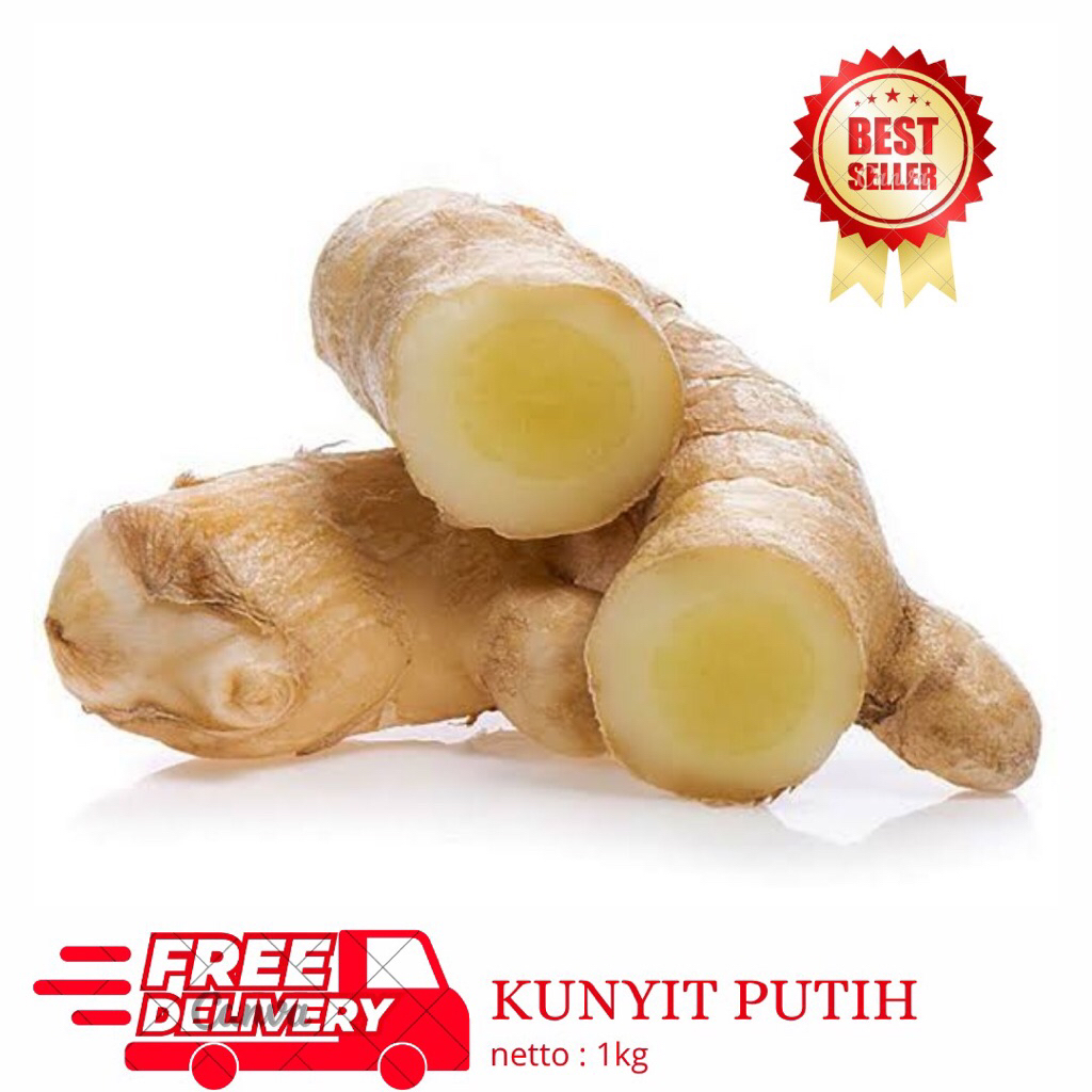 

Kunyit Putih Segar 1kg/Obat Herbal Alami/Kunyit Putih Fresh