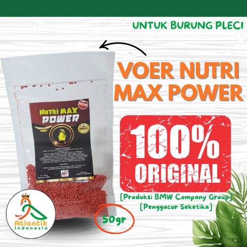 BMW Nutri Max Power Voer Burung Pleci menciptakan sumber energi power volume yang mengkristal gacor