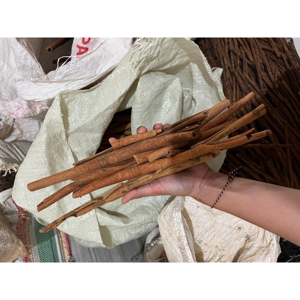 

KAYU MANIS ASALAN STIK