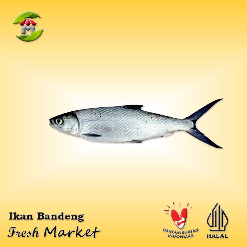 

[JAKBAR] Ikan Bandeng Pack 900gr - 1kg