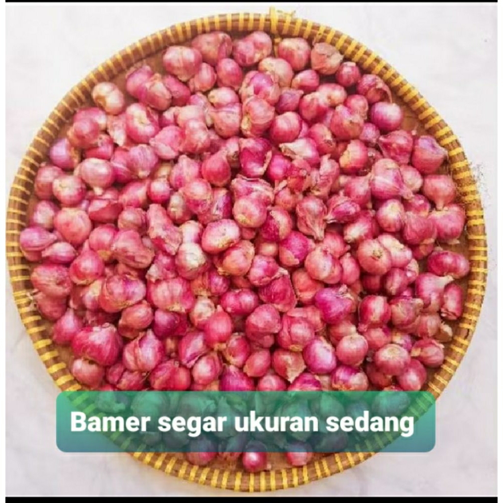 

BAWANG MERAH FRESH UKURAN SEDANG 500GR