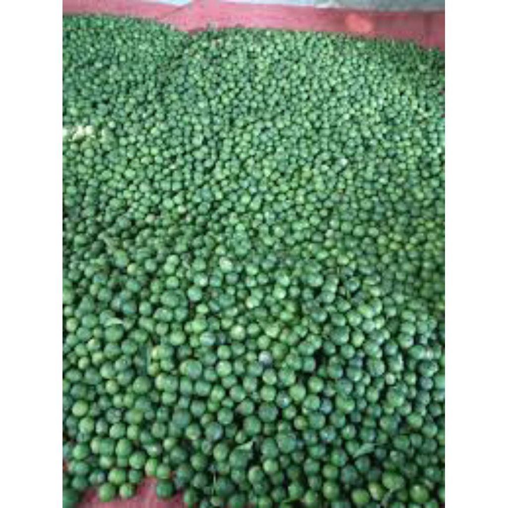 

jeruk limau ukuran kecil 1kg