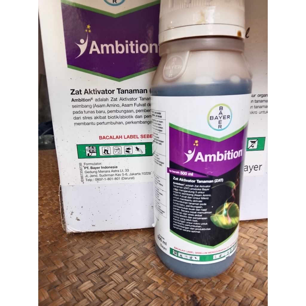 Ambition asam amino