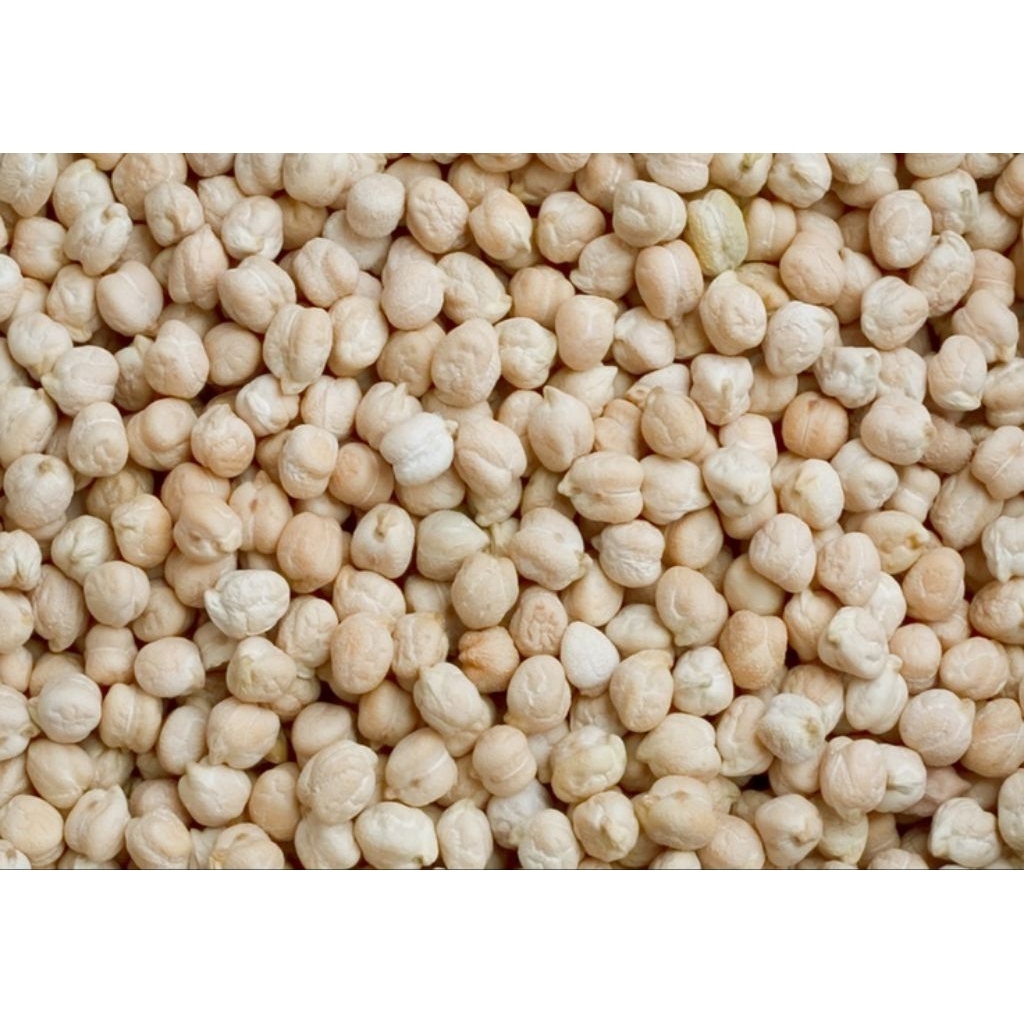 

Kacang Arab Chickpeas 1kg | Kacang Arab KTB Roasted Gram 100% ori & Halal Oleh-oleh Haji & Umroh