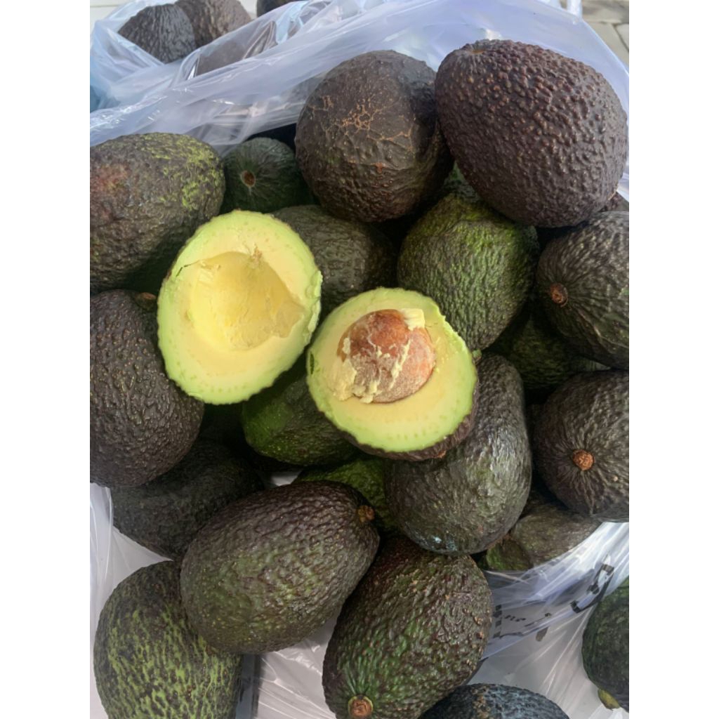 

Alpukat Hass Bali – Lembut & Creamy