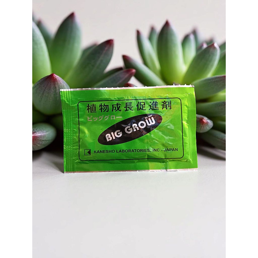 Big Grow zat pengatur tumbuh pembesar buah original japan
