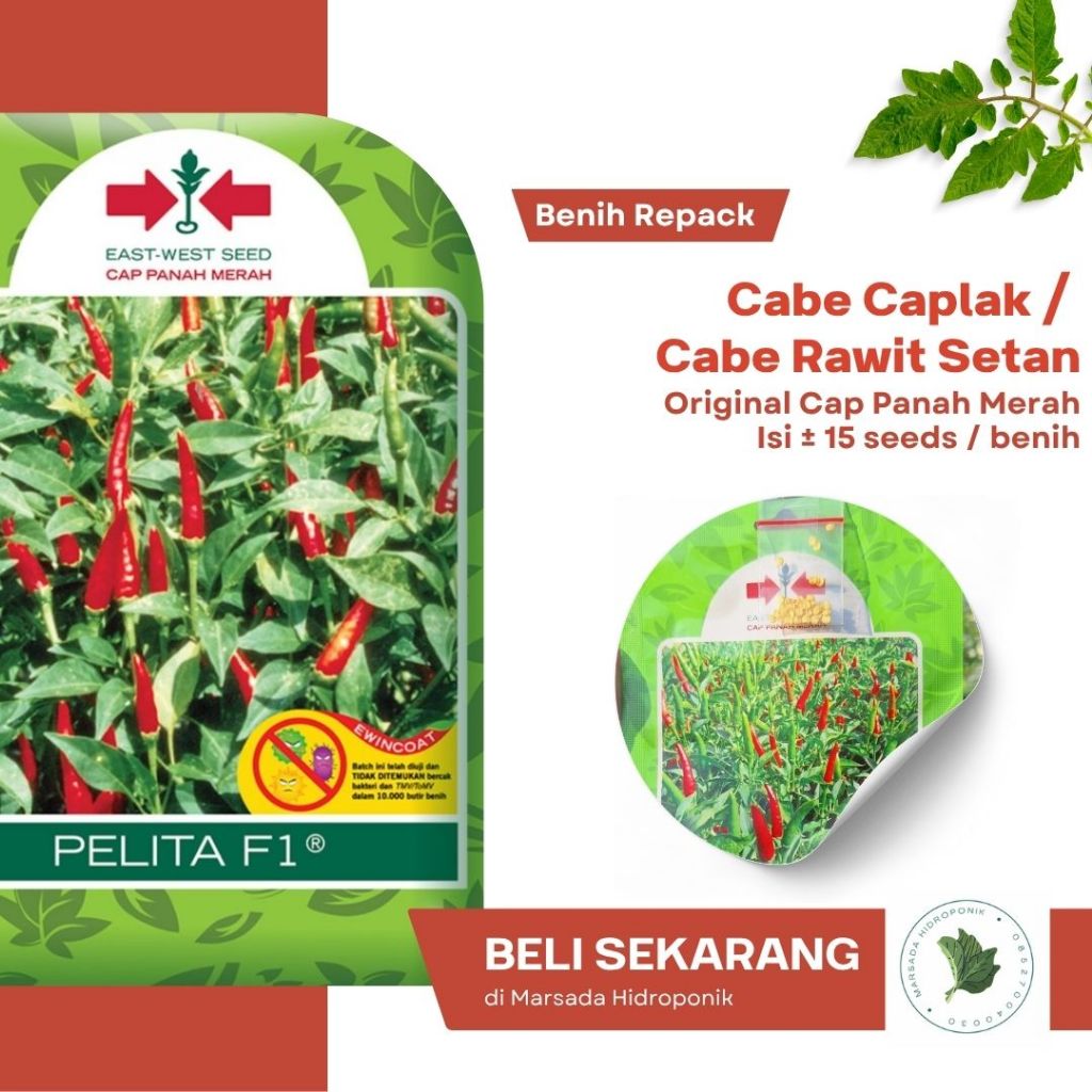 Benih Bibit Cabe Rawit Setan / Cabe Japlak / Cabe Rawit Caplak Kemasan Repack - Original Cap Panah M