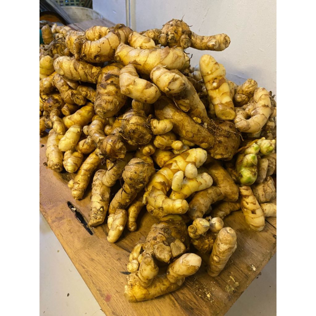 

PROMO KUNYIT/TEMU PUTIH SEGAR 1KG CURCUMA ZEDOARIA HERBAL