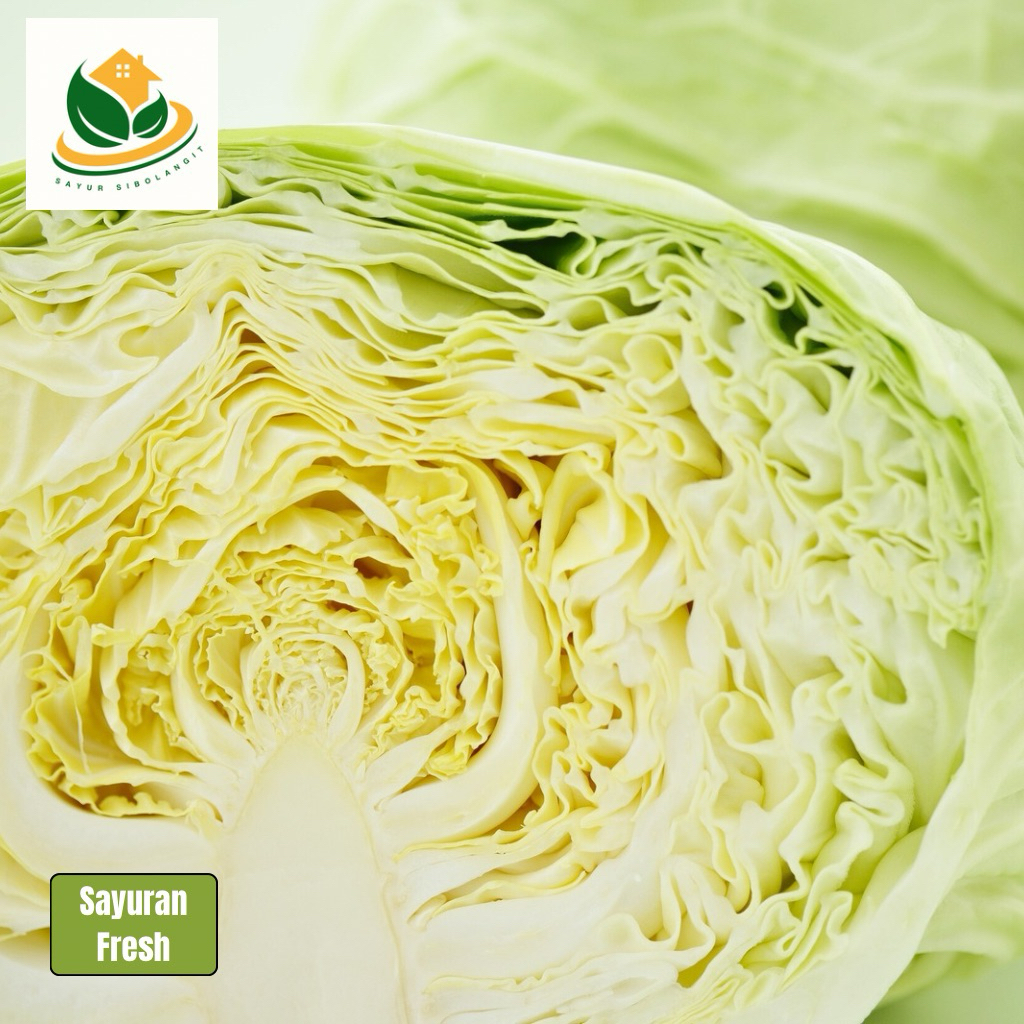 

Sayur Kol 500gr - Sayur Kol - Kubis - Sayuran Online