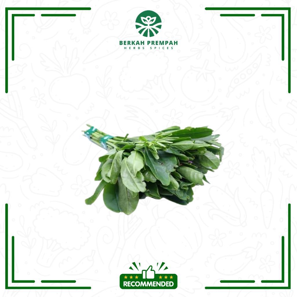 

Daun gingseng segar - Berkahprempah