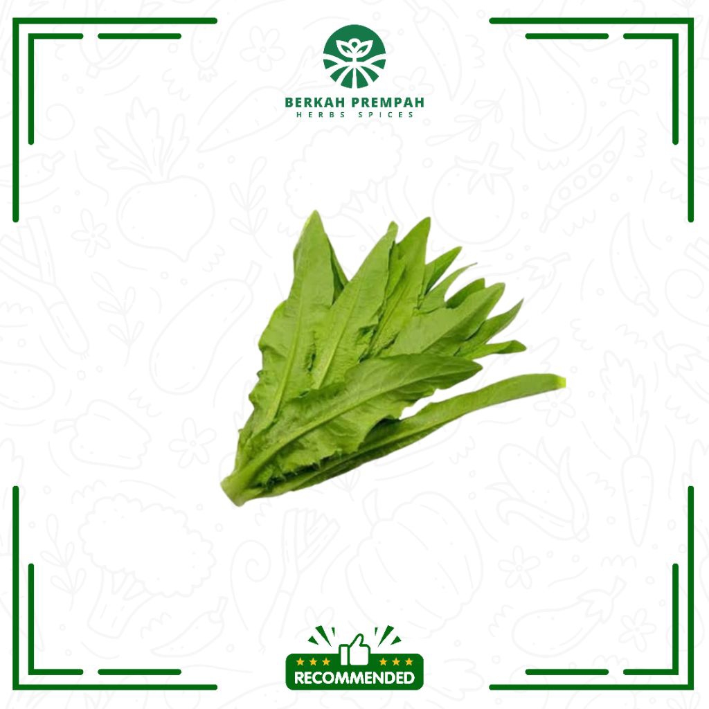 

Sayur fumak segar - Berkahprempah