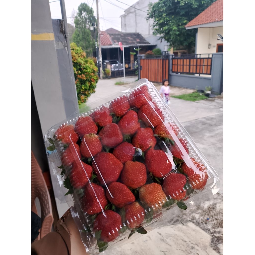 

Strawberry Fresh