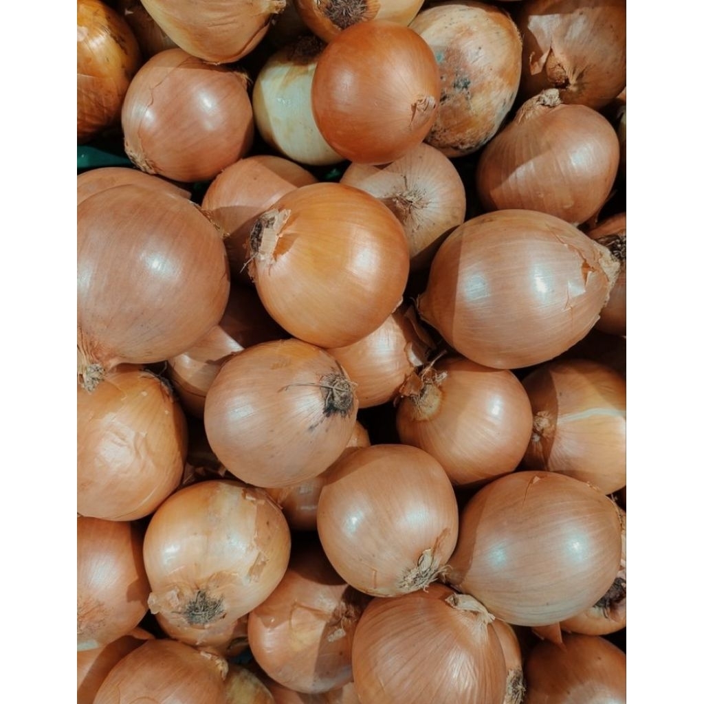 

bawang bombai 250gram
