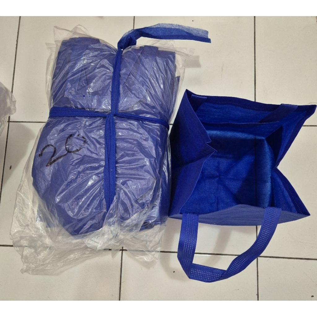 

12 pcs spunbon bag box 20x20 22x22