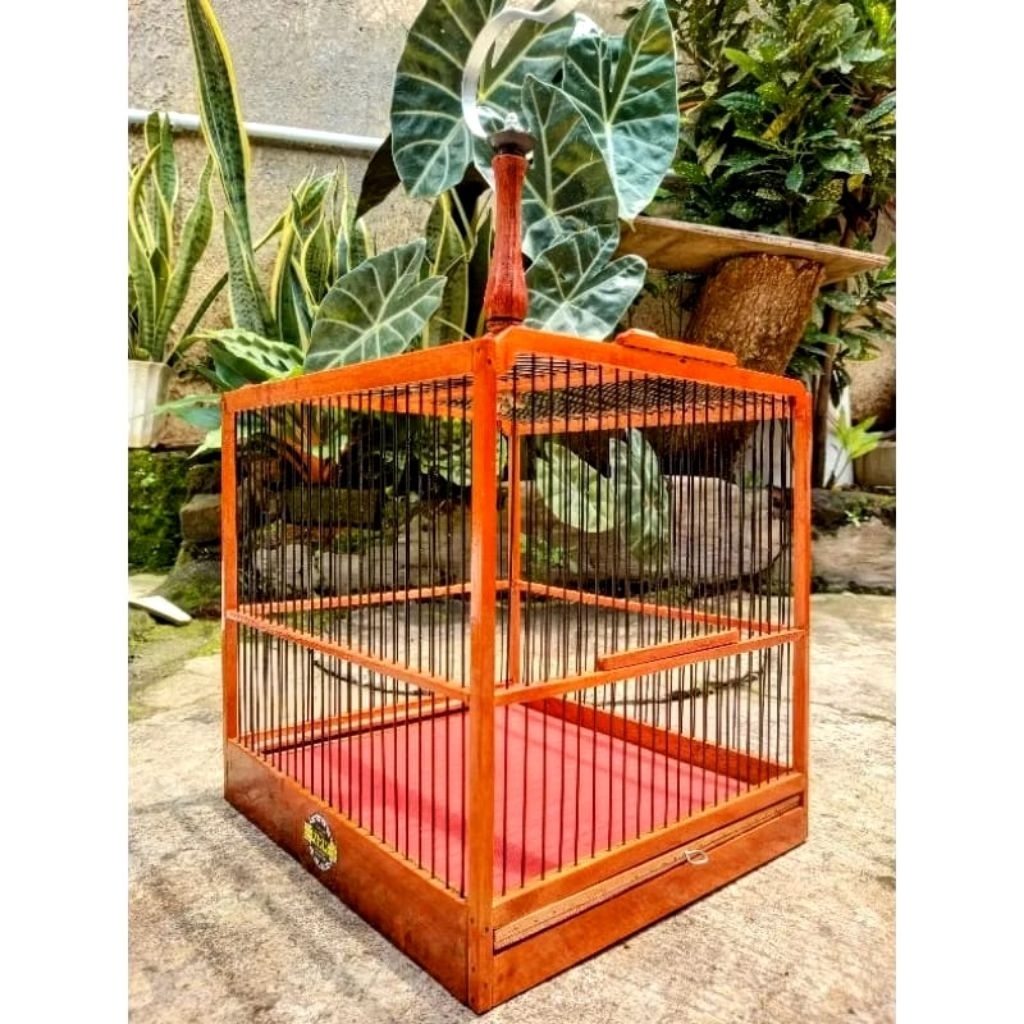 Sangkar unik burung kecil | Termurah | COD