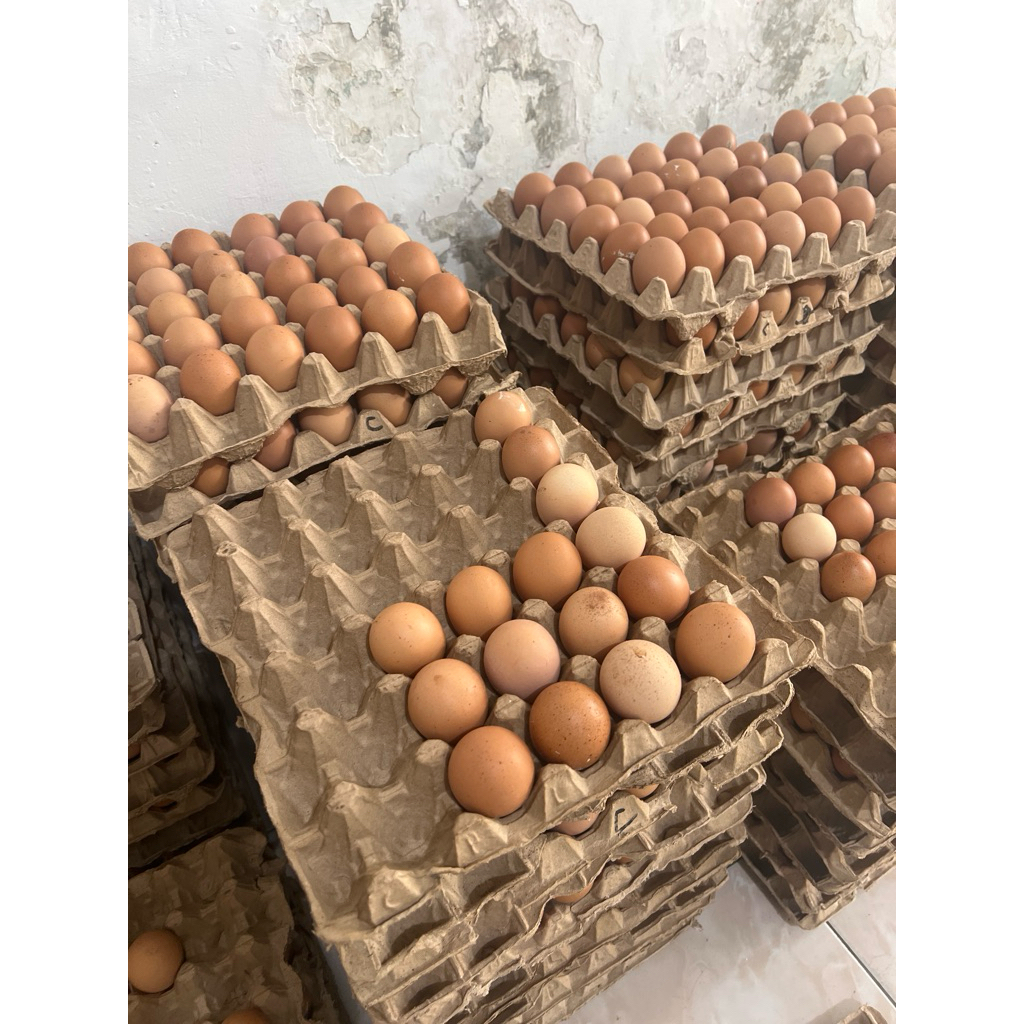 

Telur Ayam Kecil GRADE C (>60gr) per butir