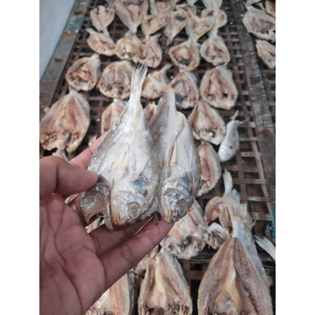 

ikan Asin BELAH CAMPUR CAMPUR ( IKAN TIDAK SEJENIS ) ISI 1KG