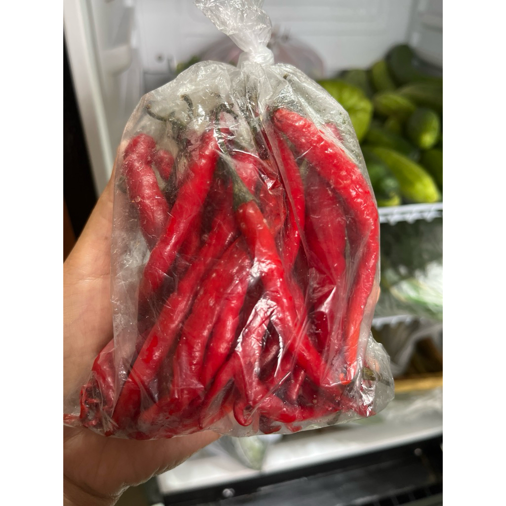 

Cabai kriting merah