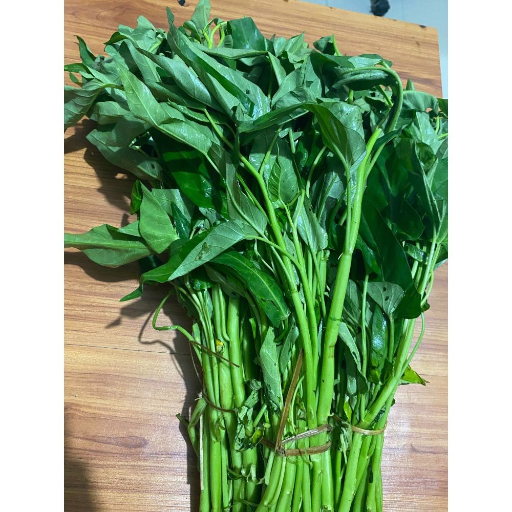 

Kangkung Segar 2 Ikat Besar – Sayuran Hijau Organik Fresh Harian