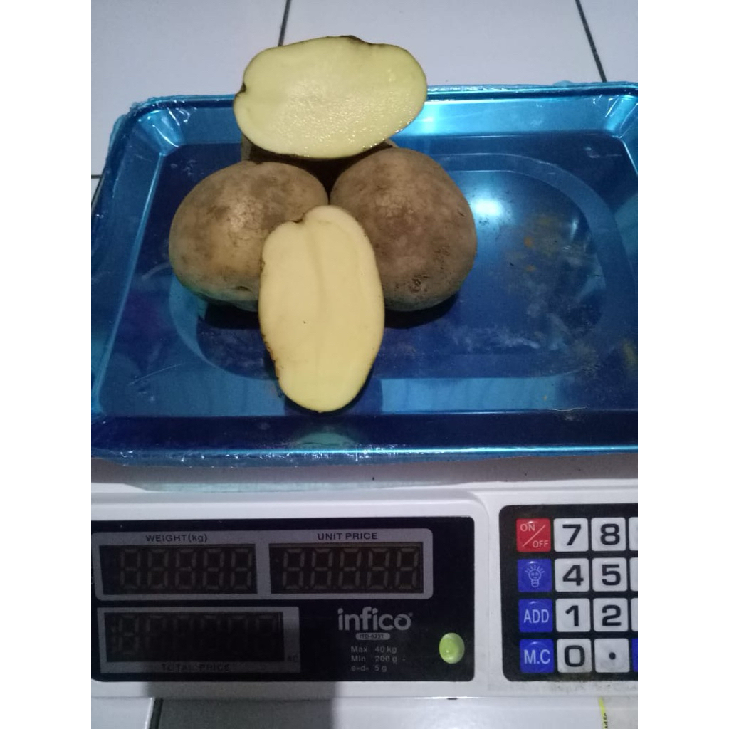 

KENTANG DIENG KUALITAS SUPER AB