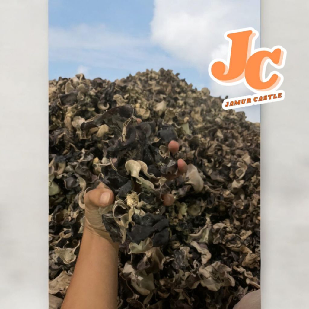 

jamur kuping kering 500 gr jamur hitam kering 500 gr sortir bersih grade A
