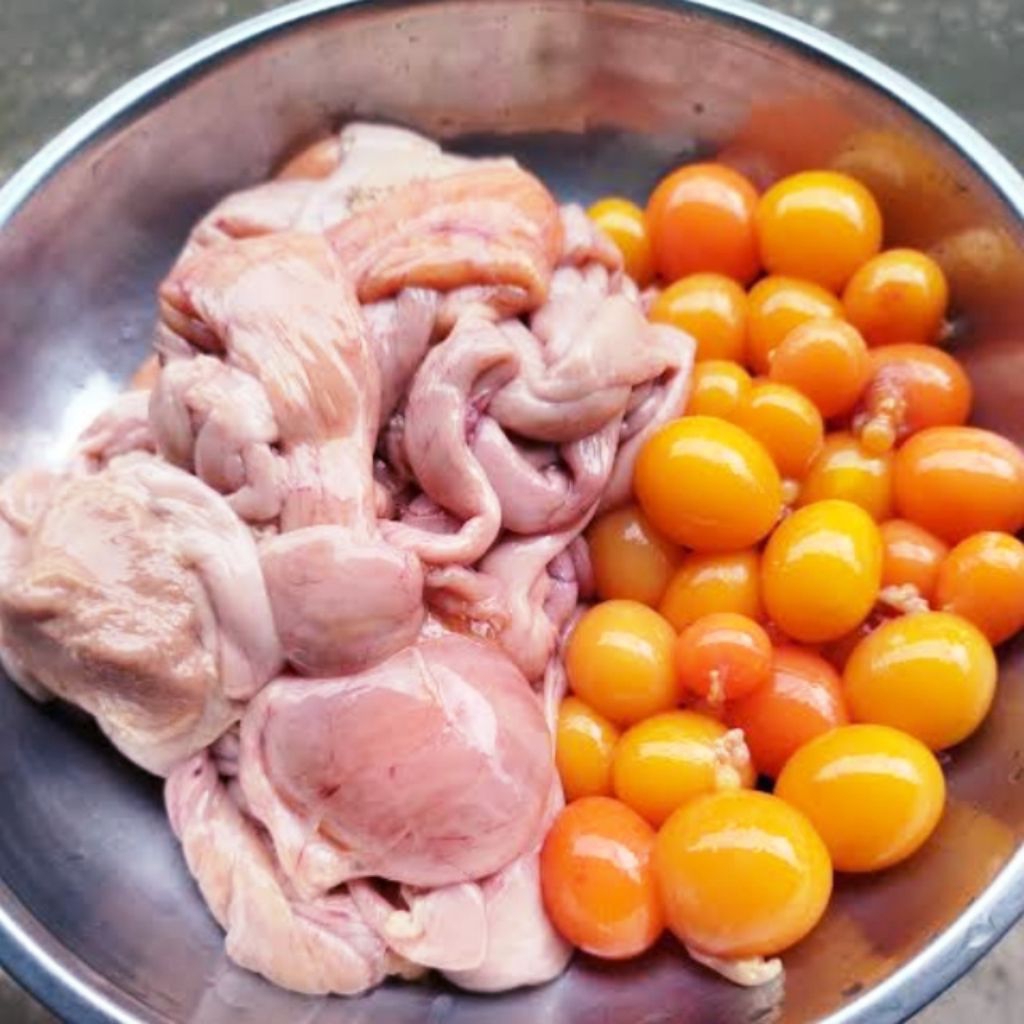 

uritan ayam