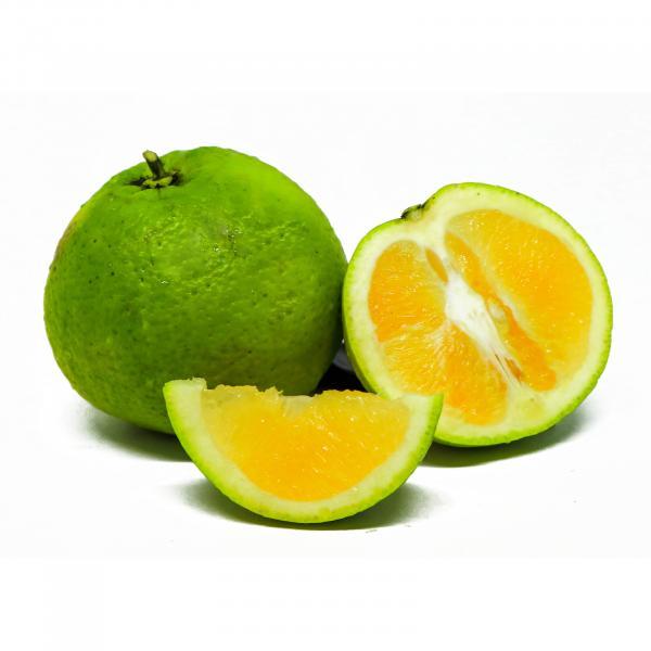 

Jeruk Baby Java / Jeruk Baby Sweet (Jeruk Malang) - Sayur Instan Segar Malang