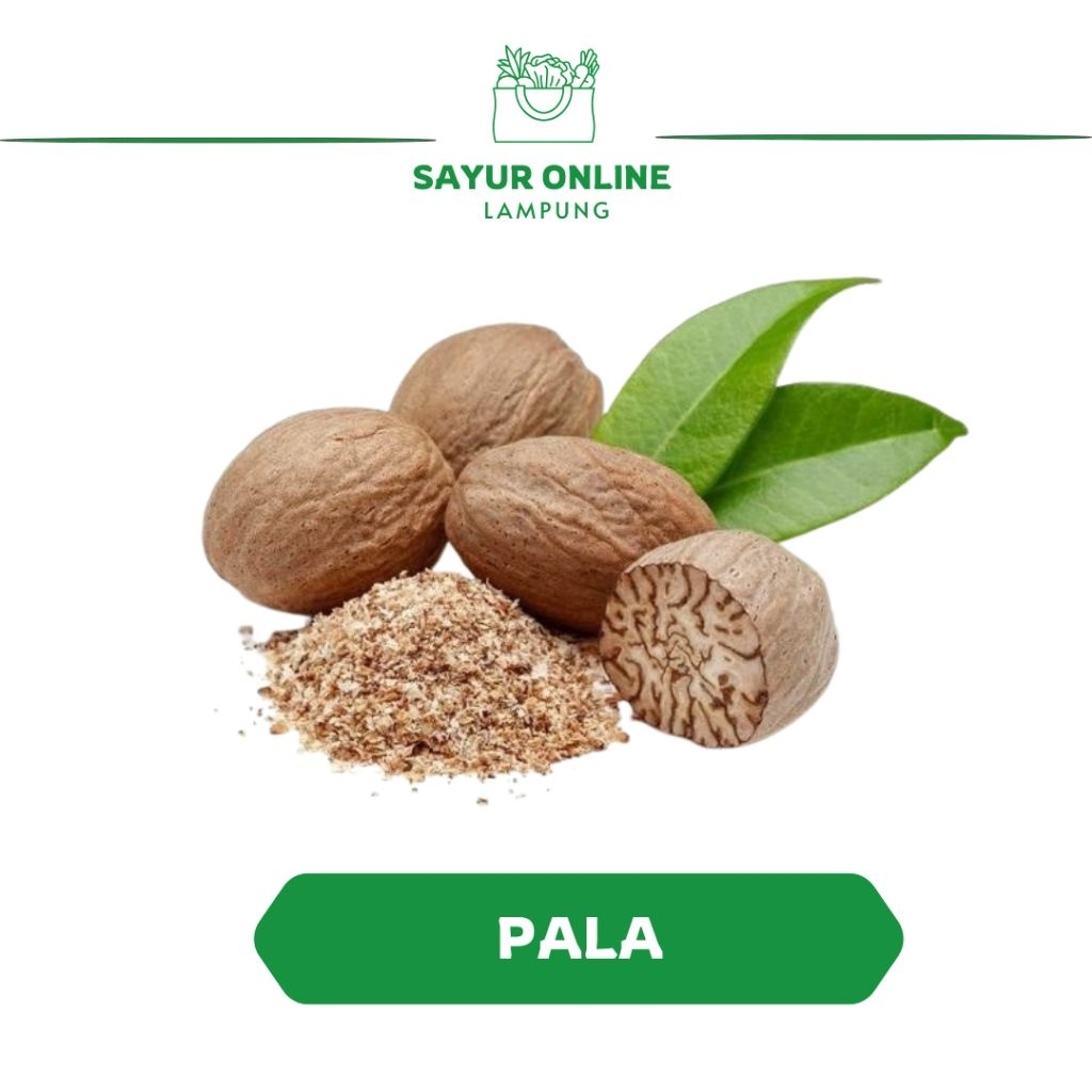 

Pala - Rempah - 1 Plastik - Sayur Onlinen Lampung