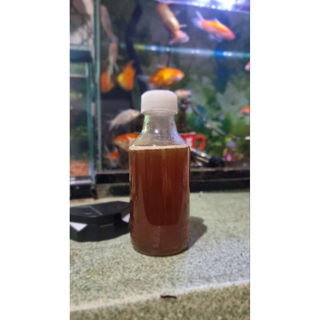 

Madu Liar kemasan You C 1000