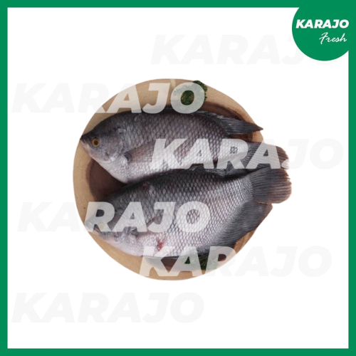 

Ikan Gurame Fresh 700g-800g