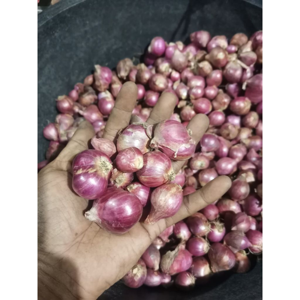 

bawang merah bima super per 1 kilogram