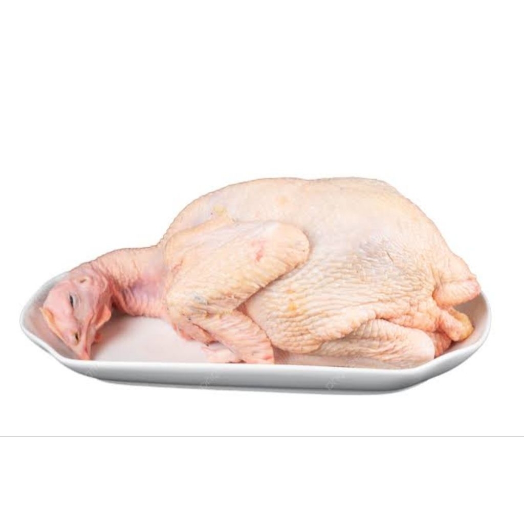 

Ayam Broiler Utuh Segar - 1 ekor Berat 1.5 kg / 2 kg
