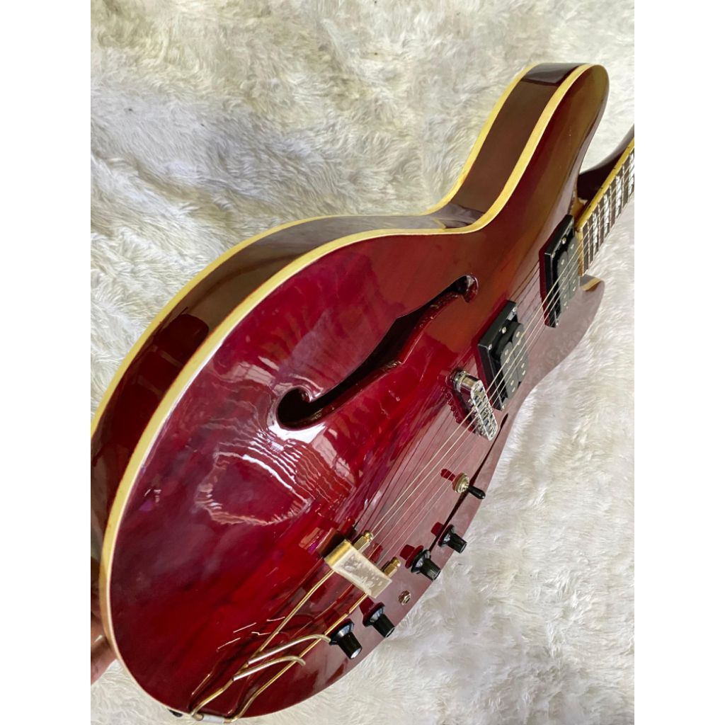 gitar custom epiphone hollow body