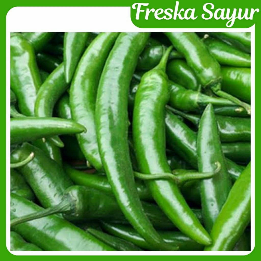 

Cabai Hijau Besar 500 gr | Cabe Ijo Gede