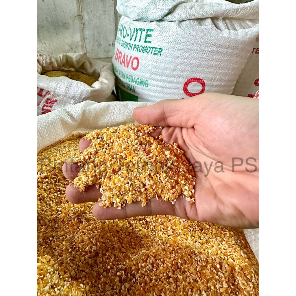 

Jagung Menir Pilihan Premium (Repack isi 1 kg)