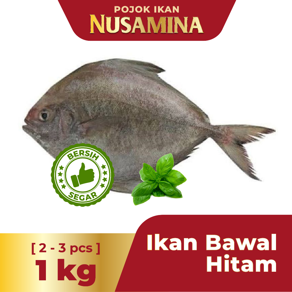 

Nusamina Ikan Bawal Hitam Bersih Segar Frozen [2-3 pcs] /1kg