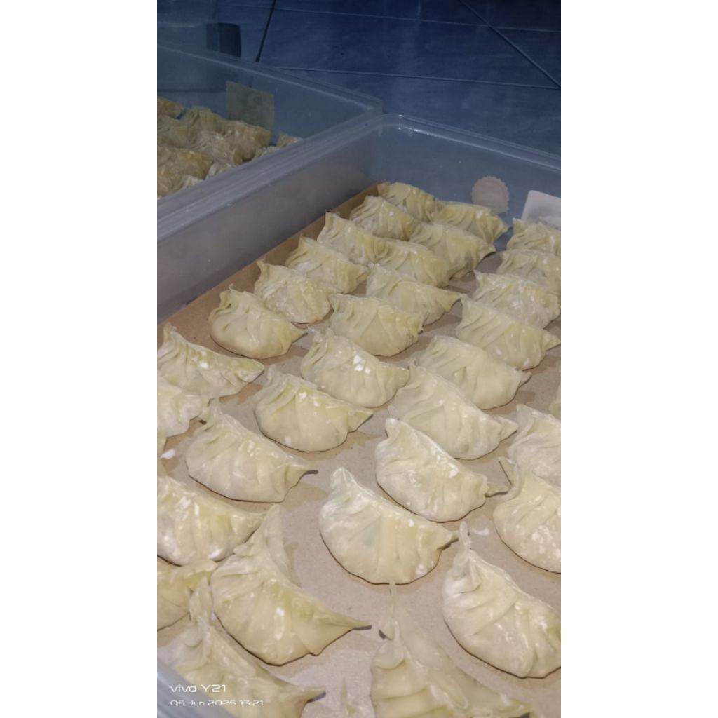 

GYOZA HOME MADE HALAL