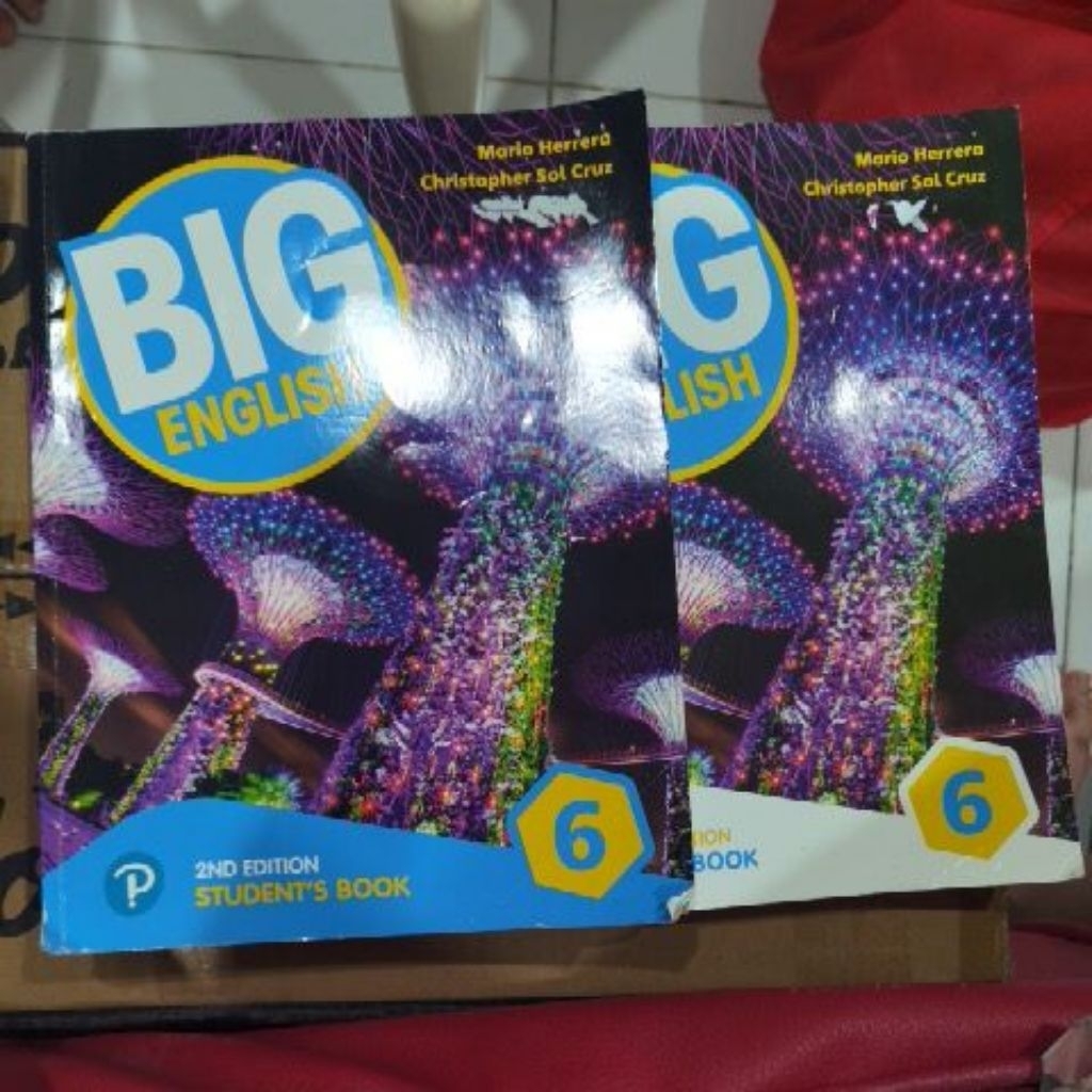 BigEnglish6(Student'sBook&Workbook)
