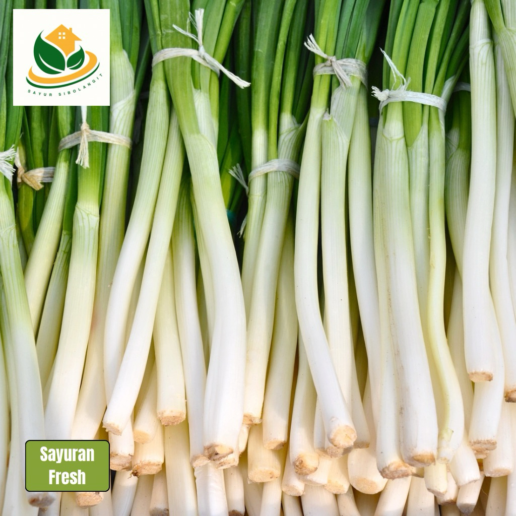 

Daun Bawang - Prei 100gr - Daun Bawang Segar