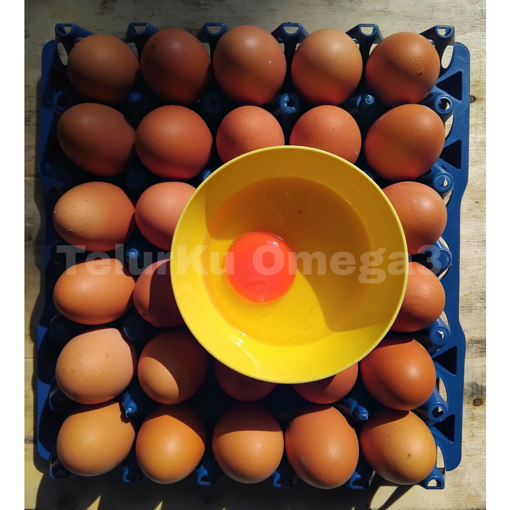 

Telur Ayam Omega3 (Tray 30 butir)