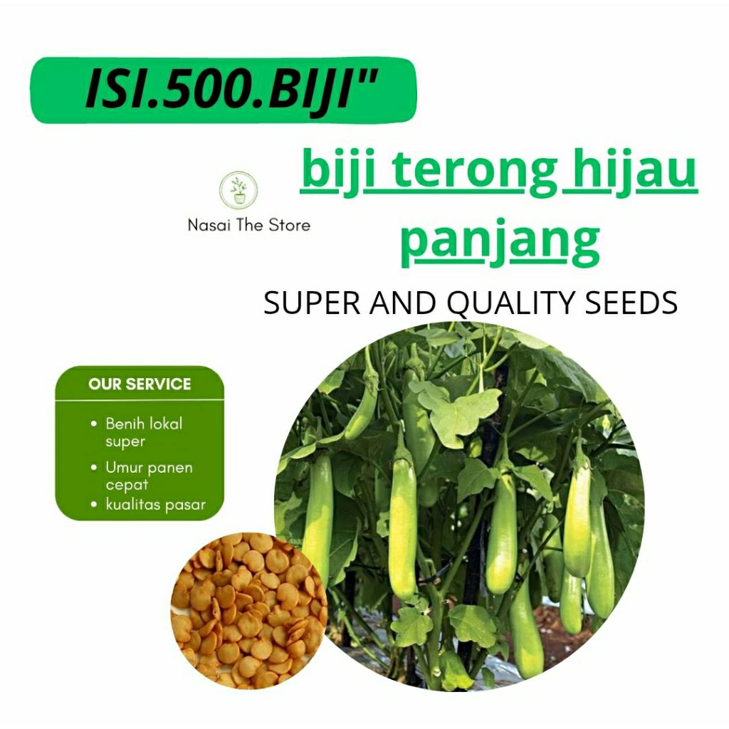 

500>biji.paket combo biji terong hijau panjang.