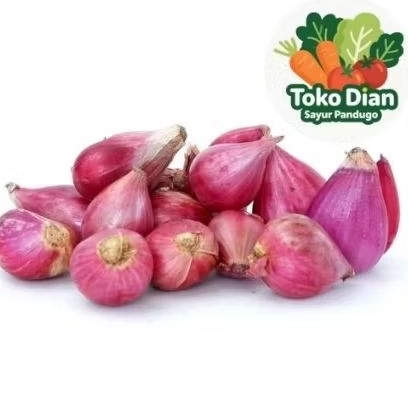 

Bawang merah besar-Diansayurpandugo