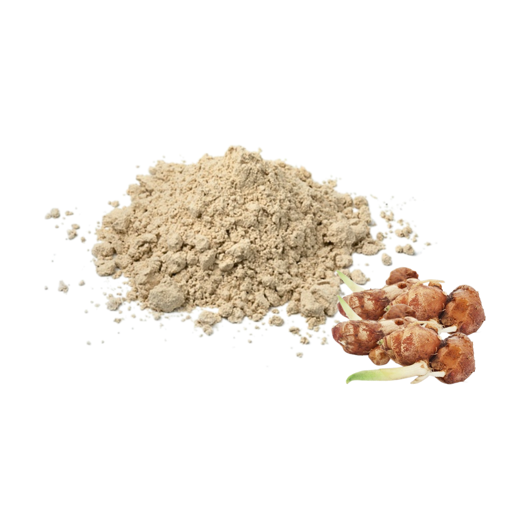 

bubuk kencur kaempferia galangal powder
