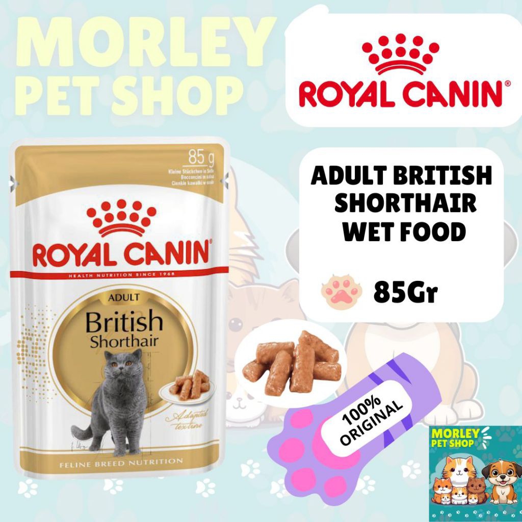 ROYAL CANIN BRITISH SHORTHAIR ADULT 85GR CAT FOOD WET FOOD / ROYAL CANIN BSH / PREMIUM CAT FOOD